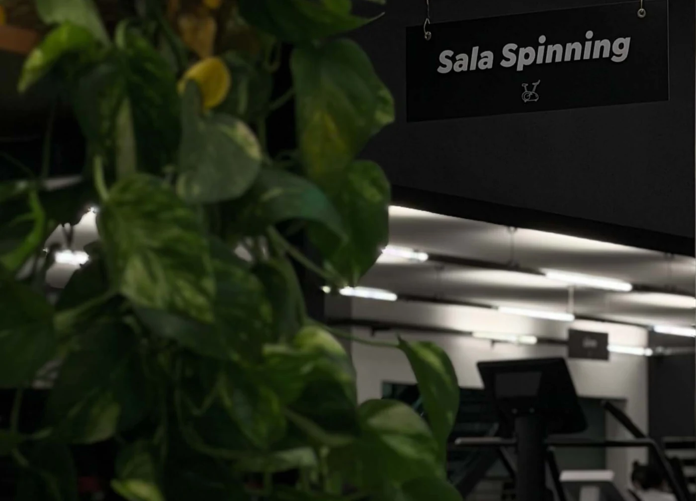 Sala de Spinning da LifeMooving Academia em Indaial
